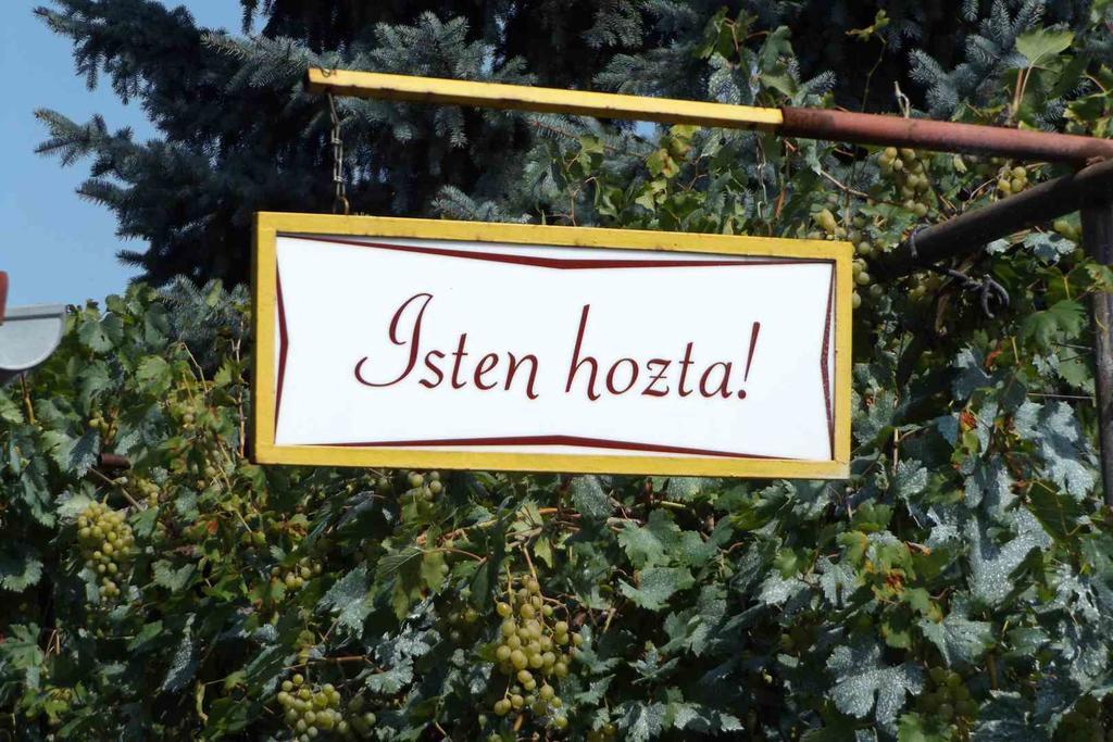 Hotel Opusztaszeri Mozes Vendeghaz Exteriér fotografie